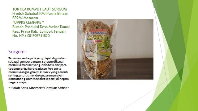 Produk PMI Purna: Tortila Rumput Laut Sorgum